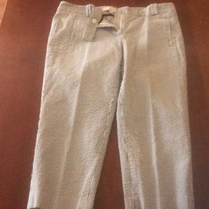 The Loft Cute searsucker capris.